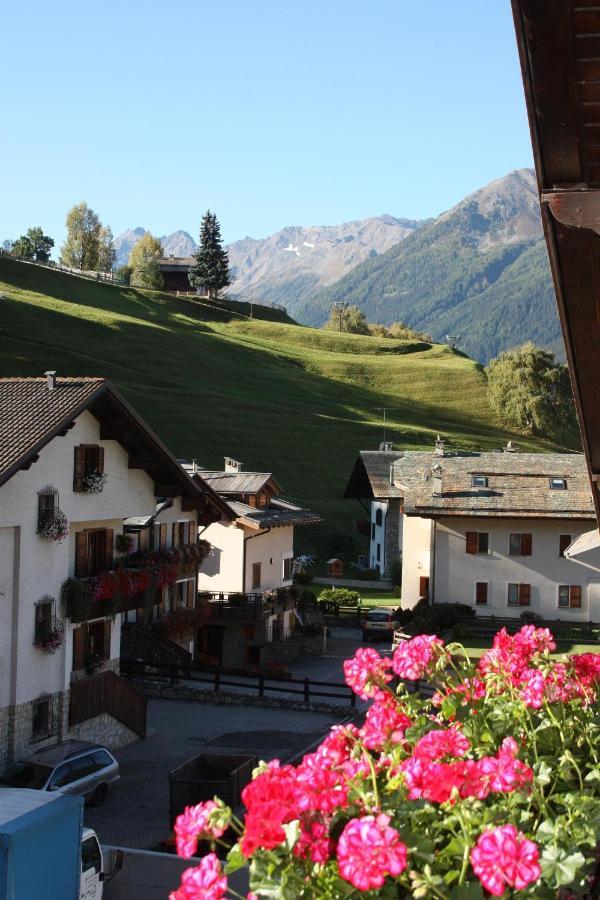 Chalet Stelvio Bormio Extérieur photo